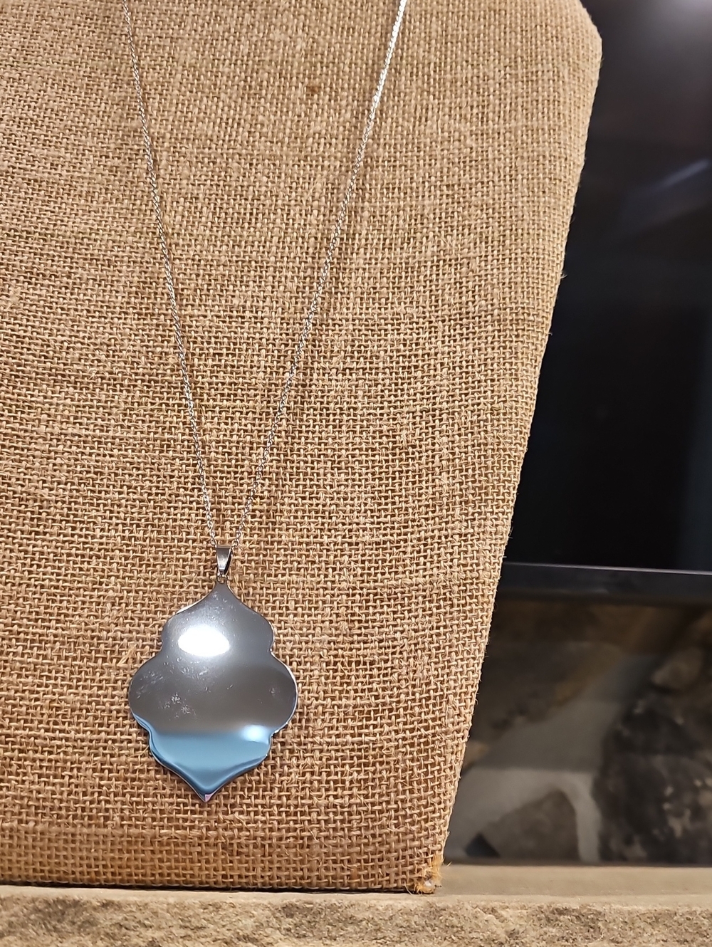 Plunder Silver Medallion Necklace
